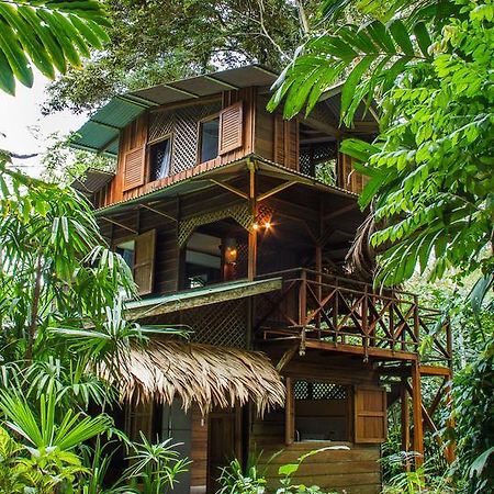 Finca Chica Lodge & Villas Puerto Viejo de Talamanca 部屋 写真