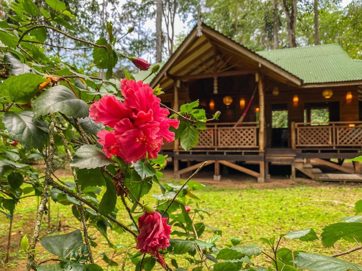 Finca Chica Lodge & Villas Puerto Viejo de Talamanca エクステリア 写真