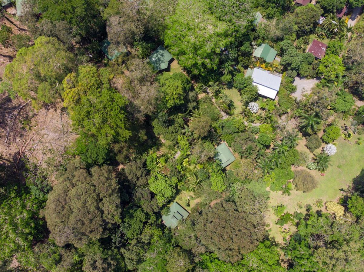 Finca Chica Lodge & Villas Puerto Viejo de Talamanca エクステリア 写真
