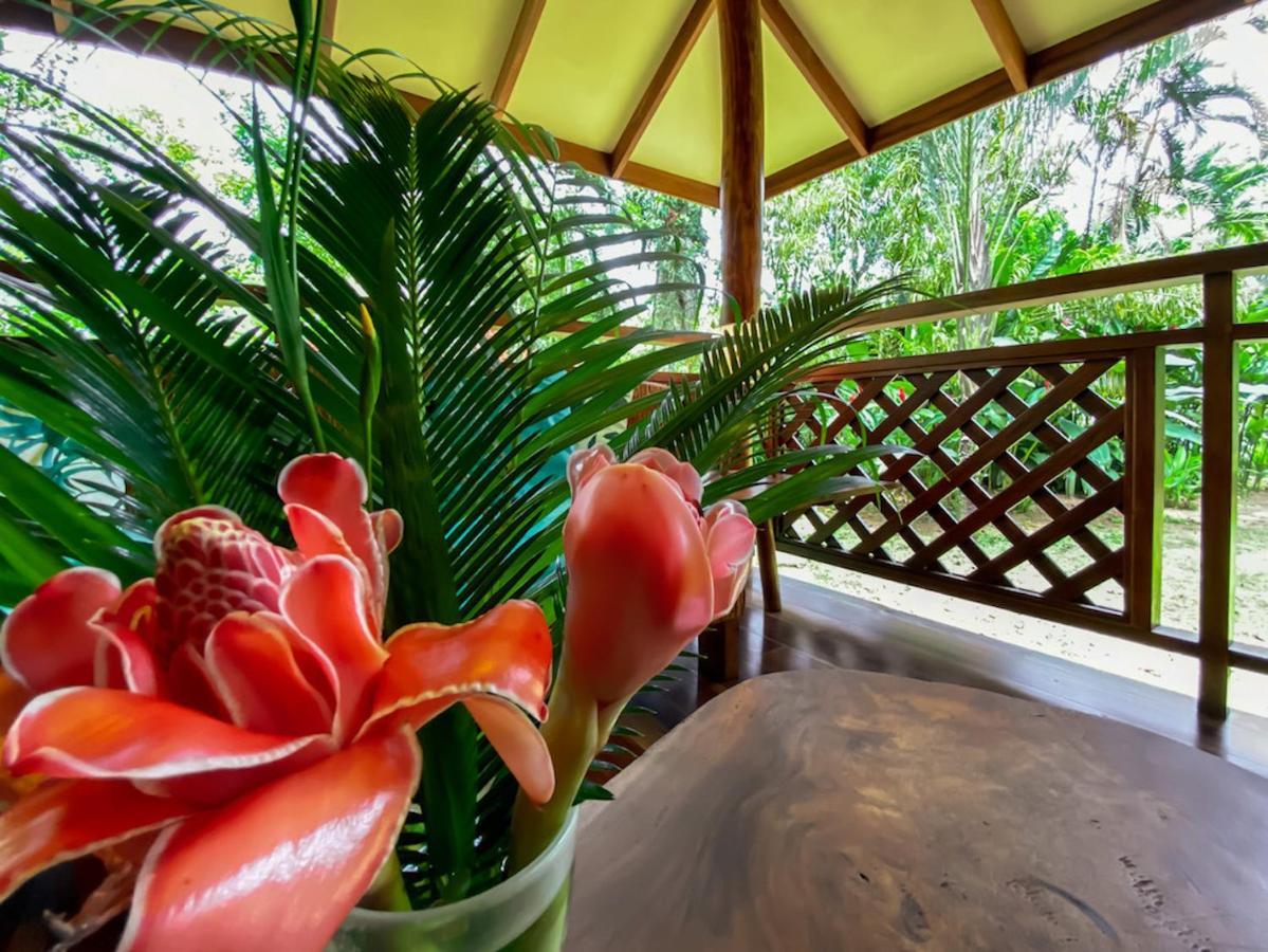 Finca Chica Lodge & Villas Puerto Viejo de Talamanca エクステリア 写真