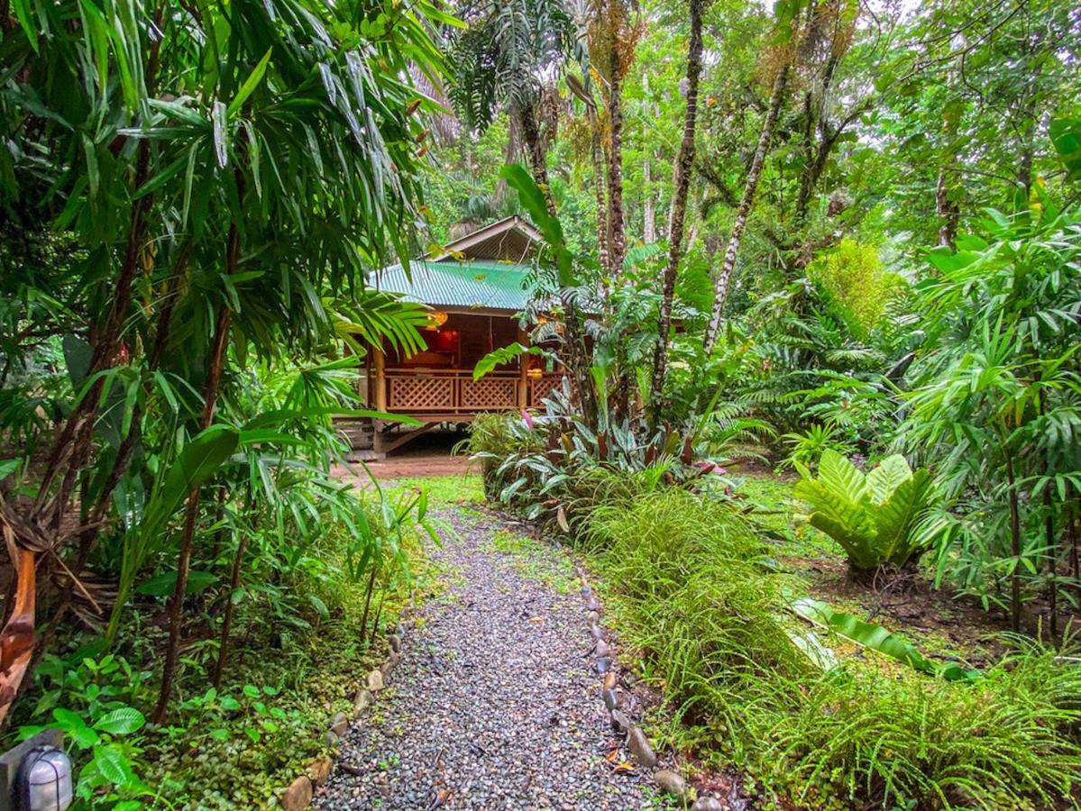 Finca Chica Lodge & Villas Puerto Viejo de Talamanca エクステリア 写真
